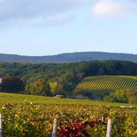 Western Wiesbaden